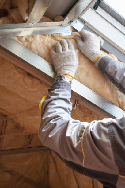 Best Insulation Installation Services in Mount Carmel, TN